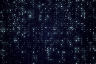 东莞房管局 宝丰租房